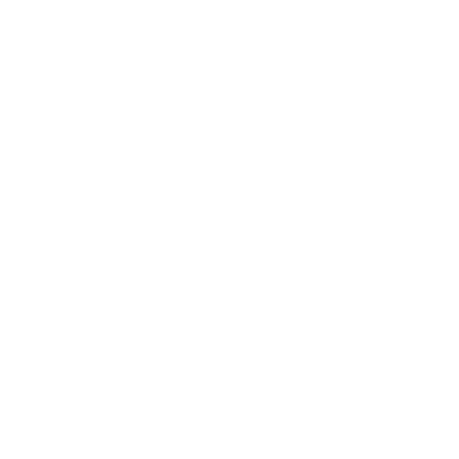 Name Your Price Logo